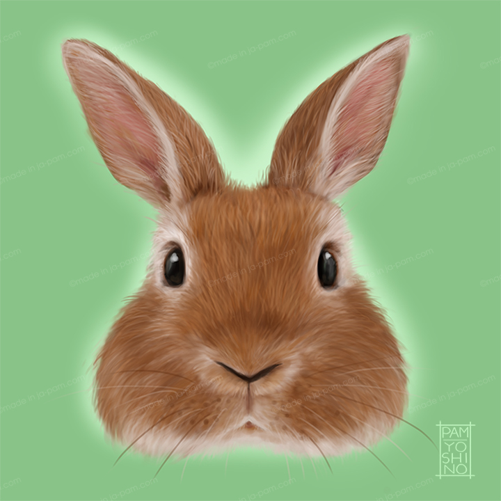 rabbit painting